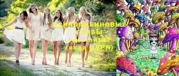 спайс Белокуриха
