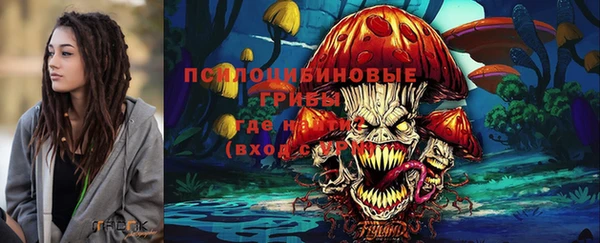 спайс Белокуриха