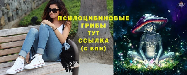 спайс Белокуриха