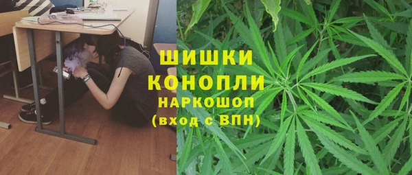 спайс Белокуриха