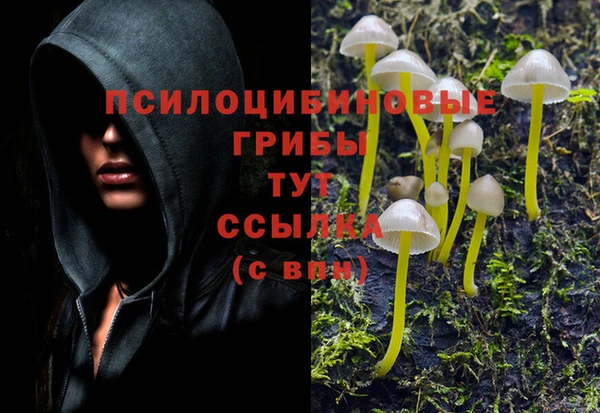 jwh Белоозёрский