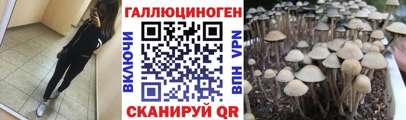 KRAKEN tor  Ахтырский  Галлюциногенные грибы GOLDEN TEACHER 